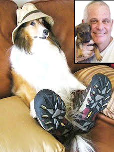 Meet a Member: Shoes for Spays Raises Money on eBay for Strays