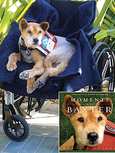 Baxter the Dog Brings Calm, and Joy, to Final Moments of Very Ill