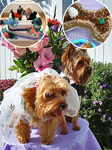 They Do! Owners Throw Canine Weddings for Love and Treats