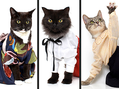 Fashionable Felines Strut Their Stuff For United Bamboo's 2010 Calendar