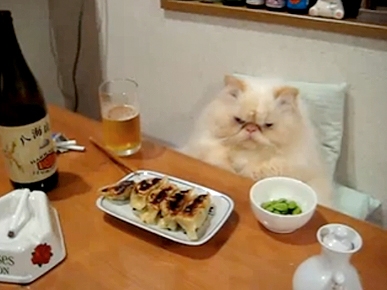 Friday's Funny Video: Dinner and a Death Stare!