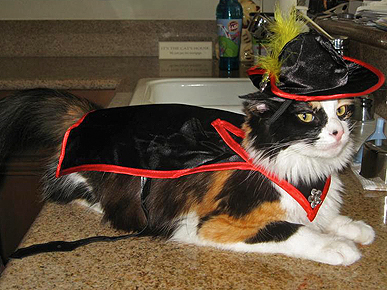 Kitties in Costume! 5 Tips for Dressing Your Cat This Halloween