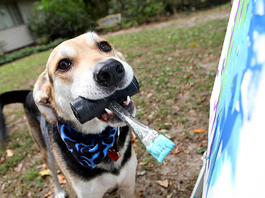Paintings by Renaissance Dog Sammy Fetch Up to $1,700