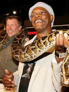 Hollywood's No. 1 Snake Wrangler Has Never Been Bitten!