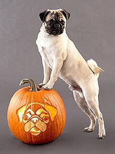 For Your Perfect Pumpkin: Pup-Shaped Stencils!