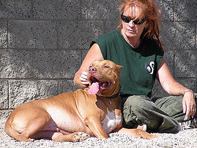 Ex-Cons and Pit Bulls Help Turn Each Others' Lives Around on New Show