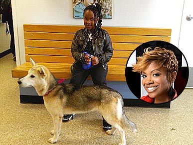 Real Housewives Star Kandi Burruss Rescues a Stray