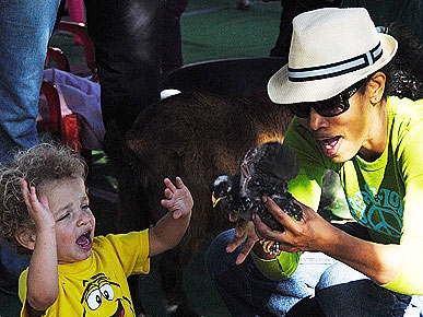 Spotted: Garcelle Beauvais-Nilon's Petting Zoo Pit Stop