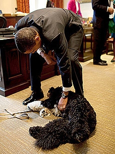Spotted: President Obama Gives His Boy a Belly Rub!