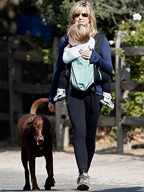 Stars  Their Pets: Ashley's Cut...