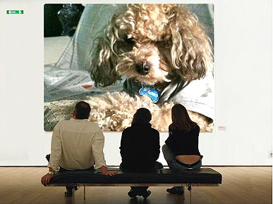 Congrats, Izzie! You Win This Week's Caption Contest