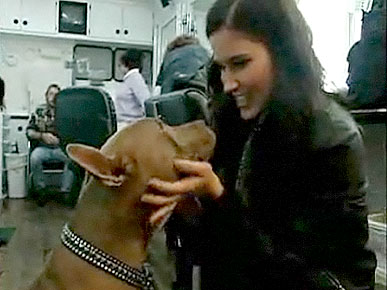 Exclusive Video:  Kellan Lutz, Sophia Bush Open Hearts to Rescue Animals