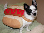 Summer Hot Dogs! (Buns Included)