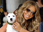 Stars & Their Pets!