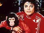 His Animal Kingdom