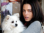 Stars & Their Pets