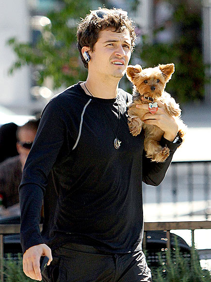 PET-SITTING photo | Orlando Bloom