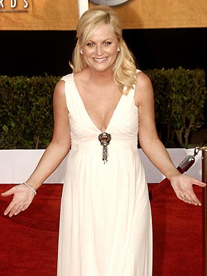  photo | Amy Poehler