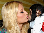 Snapatomy: Star Photo Facts Revealed | Paris Hilton