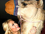 Hottest Travel Spot: The Middle East!