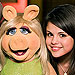 The Muppets: Comeback of the Year!