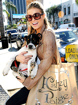 PET PROJECT photo | Carmen Electra