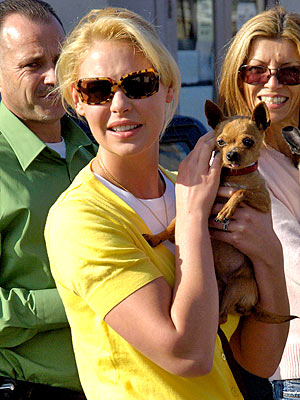 PET PROJECT photo | Katherine Heigl