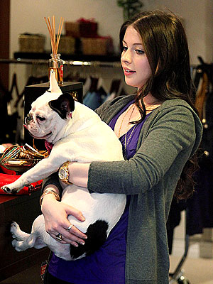 DOG DAY AFTERNOON photo | Michelle Trachtenberg DOG DAY AFTERNOON photo | Michelle Trachtenberg