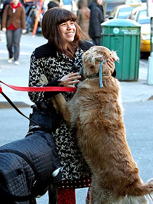 MUST LOVE DOGS photo | America Ferrera