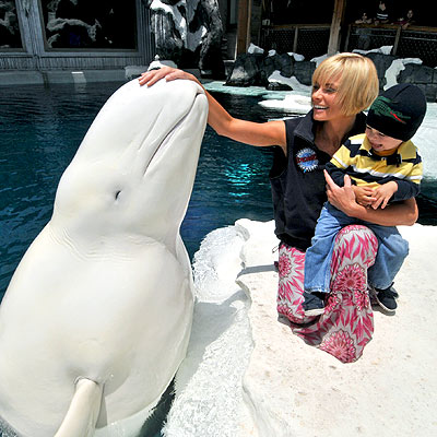 WHALE OF A TIME photo | Jaime Pressly