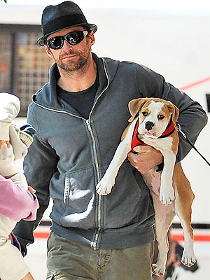 PET PROJECT photo | Hugh Jackman