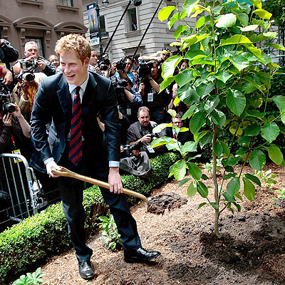 GREEN THUMB photo | Prince Harry