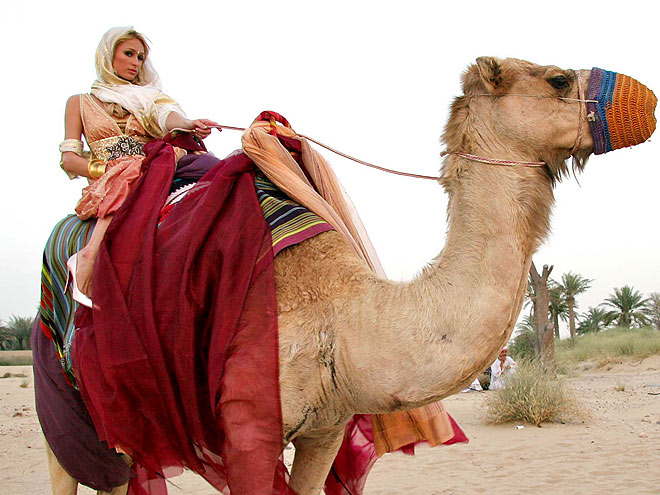 CAMEL LOT photo | Paris Hilton