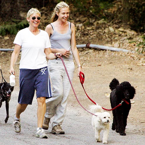 CANINE CONNECTION photo | Ellen DeGeneres, Portia de Rossi