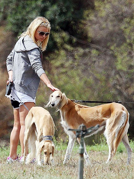PET PROJECT photo | Jessica Simpson