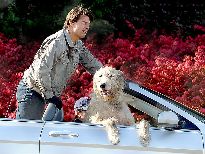 RIDING SHOTGUN photo | Tom Cruise