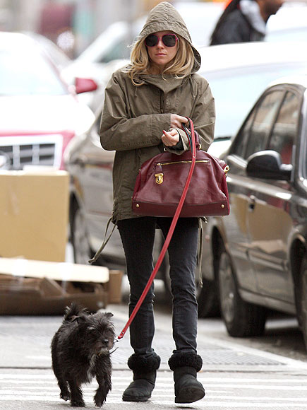 PUP PATROL photo | Sienna Miller