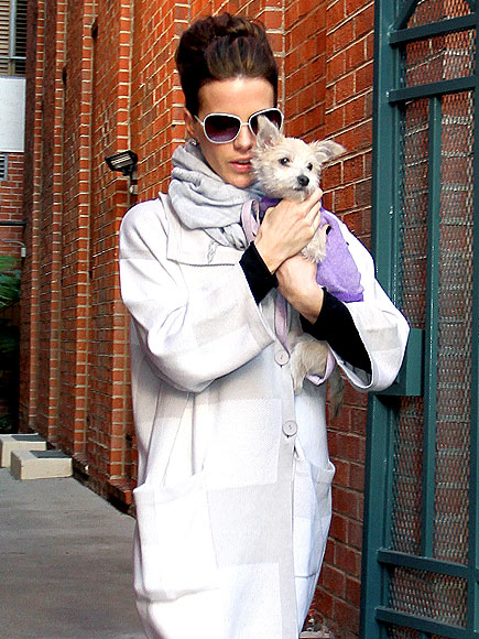 CREATURE COMFORTS photo | Kate Beckinsale
