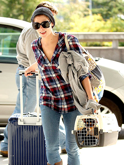 PUPPY CARGO photo | Ashley Greene
