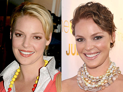 Katherine Heigl Goes Brunette Love It or Hate It