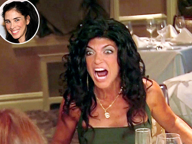 photo | Sarah Silverman, Teresa Giudice