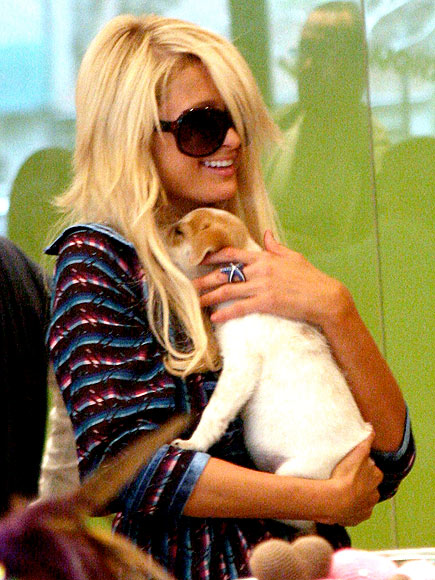 CUDDLING HER PUP
photo | Paris Hilton