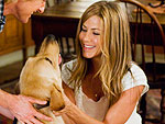 Which B Day Girl Got Two Puppies