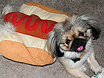 Summer Hot Dogs! (Buns Included)