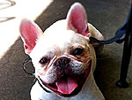 This Week's Cutest Twitter Pics