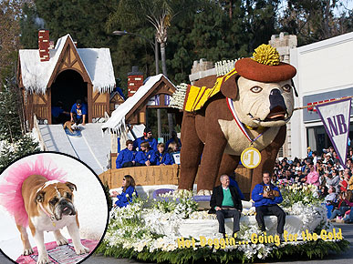 5 Snowboarding Dogs Steal the Show at the Tournament of Roses Parade
