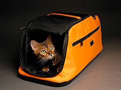 REVIEW: Sleepypod Air Carrier Is First Class for Your Furry Friend