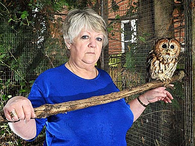 Neighbors Aren't Smitten with Pet Owl's Noisy Love Calls