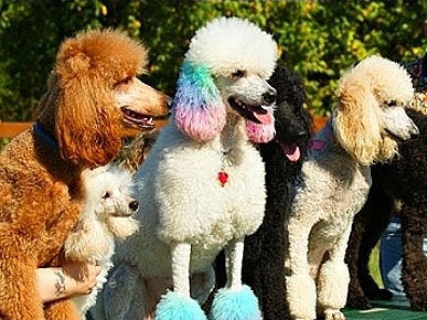 Congrats, Kayren! You Win This Week's Caption Contest