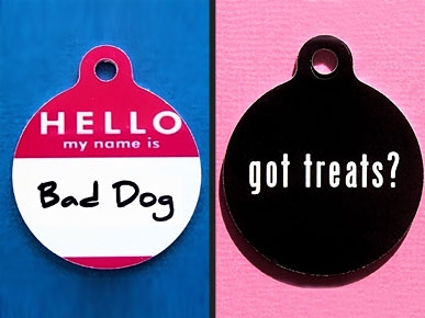 Etsy Fave! Quirky Tags Will Get a Second Look at the Dog Park